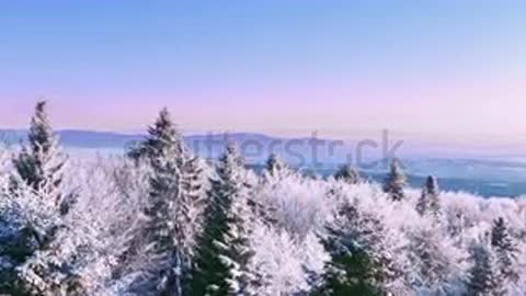 stock-footage-winter-forest-nature-snow-covered-winter-trees-alpine-landscape-e.mp4