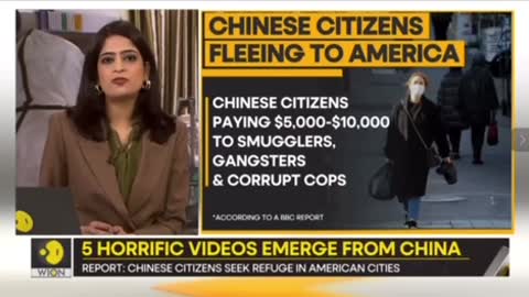 Chinese Citizens Fleeing To America