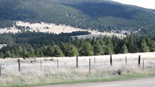 long pan along fence line