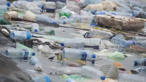 POWERFUL VIDEO: Why We Need to Stop Plastic Pollution in Our Oceans FOR GOOD | Oceana