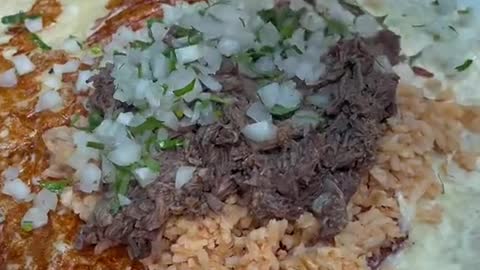 How much would you pay for this Birria burrito Got it from