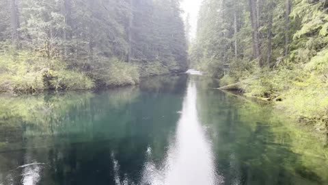 Admiring Clear Lake & The Start of McKenzie River in the Rain