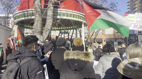 Pro-Palestine Protest