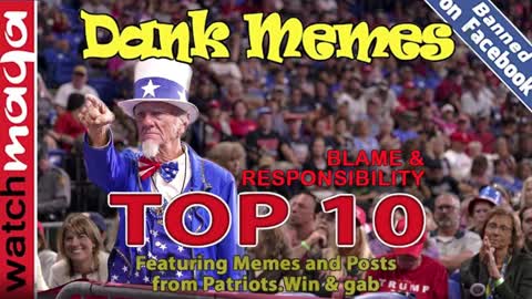 Blame & Responsibility: TOP 10 MEMES