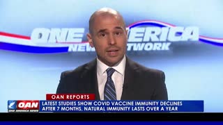 Latest studies show COVID vaccine immunity declines after 7 months