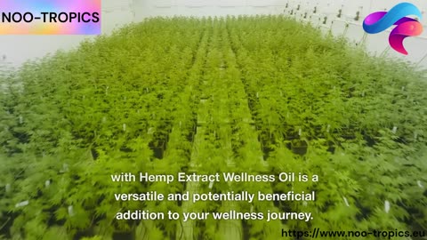Organic Harmony: Unveiling the Benefits of CBDfx MCT Oil with Hemp Extract
