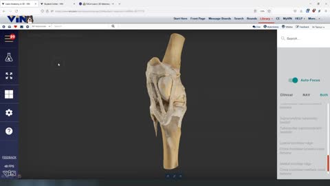 Equine stifle scan - 3D Veterinary Anatomy & Learning IVALA®