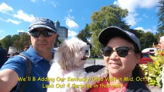 Cutie Small Dog Izzy & Family in Niagara Falls, Canada
