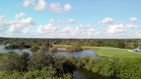 Beautiful Florida wetland