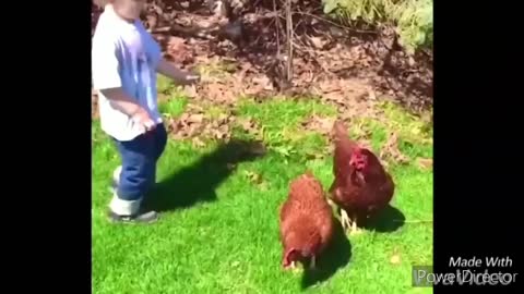 Funny video of rooster chasing kids, adults and animals.