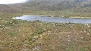 Paramo de Chingaza, Colombia by Drone