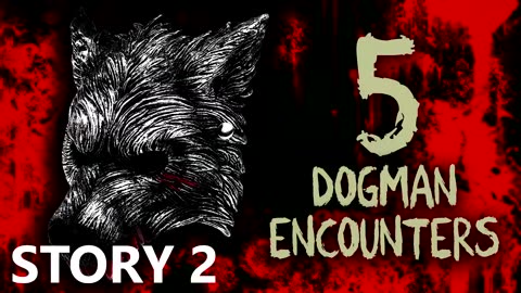 5 DOGMAN & WEREWOLF ENCOUNTERS (Dogman, Werewolf, Cryptid) - What Lurks Beneath