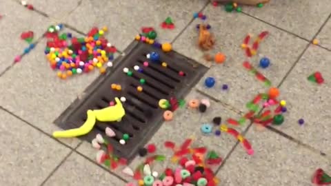 Ripped bag full of candy and one chicken wing on subway station floor