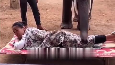 Elephant Massage Backside of young lady