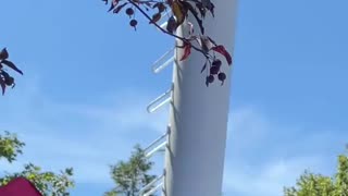 Trump's Plane Flies Over Iowa State Fair - Distracts DeSantis Crowd