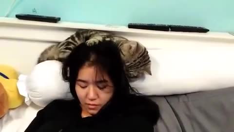 Overly-affectionate cat really loves owner