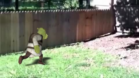 Shrek jump in the fence