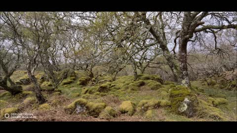 The gift of Land in Scotland