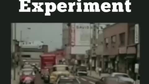 The Milgram Experiment