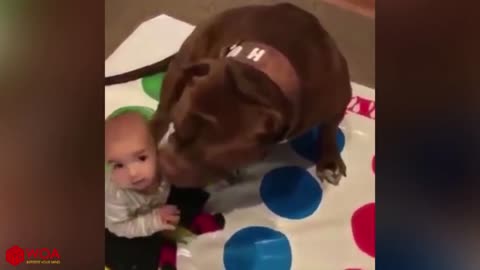 CUTE Nanny Dogs and Babies | Funny Dog loves Baby
