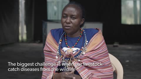 One Health: Wildlife, Livestock and Human Health in the Mara-Serengeti Ecosystem