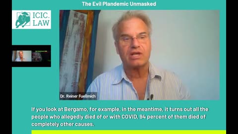 Evil Plandemic Unmasked - Dr Reiner Fuellmich - Jay Couey Ph.D. academic neuroscientist
