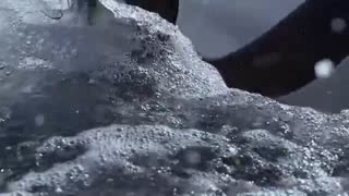 Frozen Planet: Penguins Launch Like Rockets