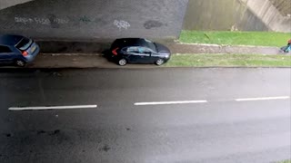 Branches Barely Miss Walking Man