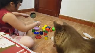 bae playing with dog