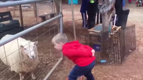 Funny Baby and Animals Playing Together