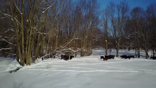 Creswick Farms Under A Blanket of Snow