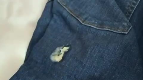 Removing gum from jeans