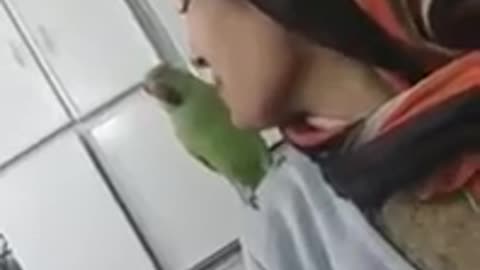 Funny Parrot Talking video in English & Hindi