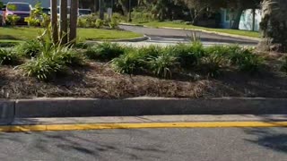 Trump 2020 flag drop Atlantic Beach, Florida, s