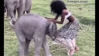 baby elephant plays with model 😍🥰