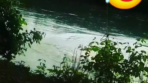 Guys foot gets stuck on rope swing gets slammed into water