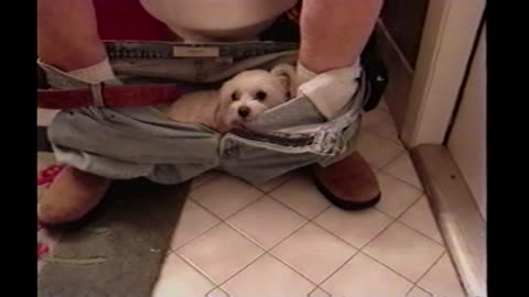 Dog Lays In Man's Pants While He Uses The Toilet