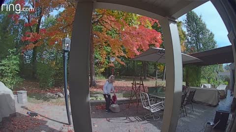 Sometimes You Just Need a Laugh | Ring Video Doorbell Captures Funny Moment