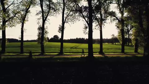 Woman Walking through a Park