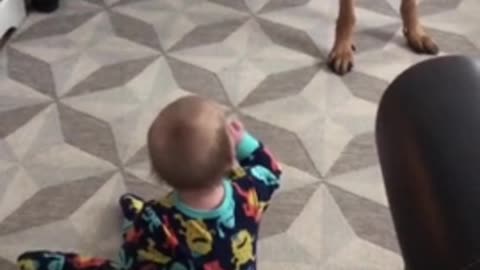 This dog caresses the child and makes him happy