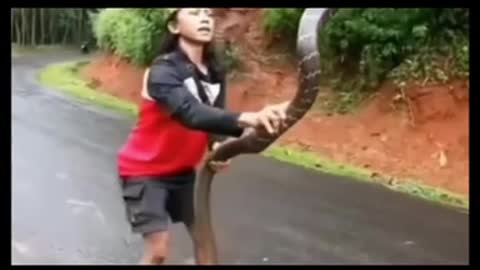 OMG a brave girl rescued 22 feet long cobra.