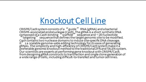 knockout cell lines