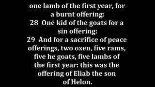 Numbers 7 King James version