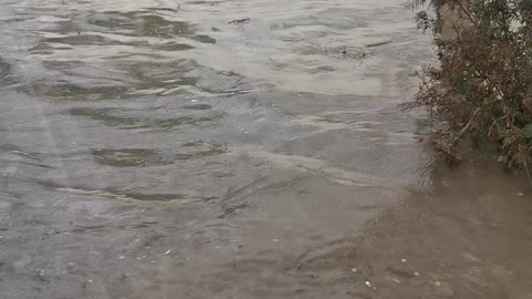 Floor of Bus Becomes Flooded