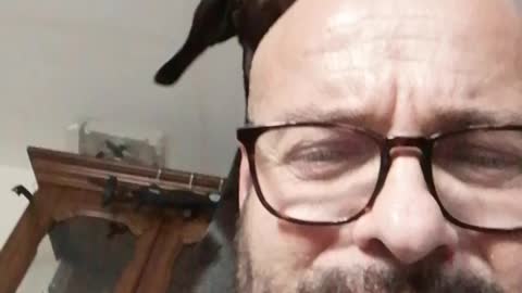 Doggy adjusts specs while grooming