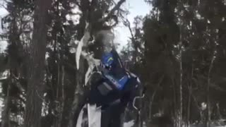 Blue snow mobile tree fall