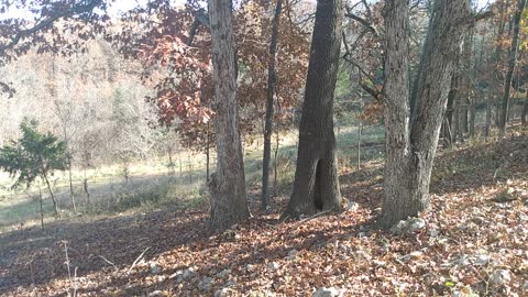 Ozark mountain view