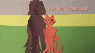 Common Ground Intro