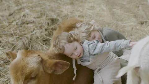 Girls Hugging a Cattle
