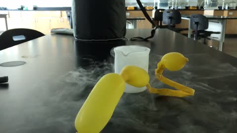 The Cool Effects of Liquid Nitrogen on a Balloon